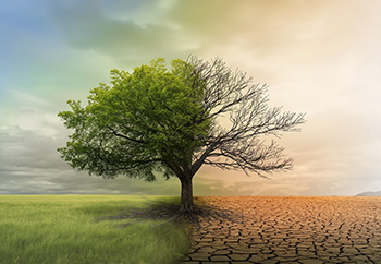 Green House Emissions